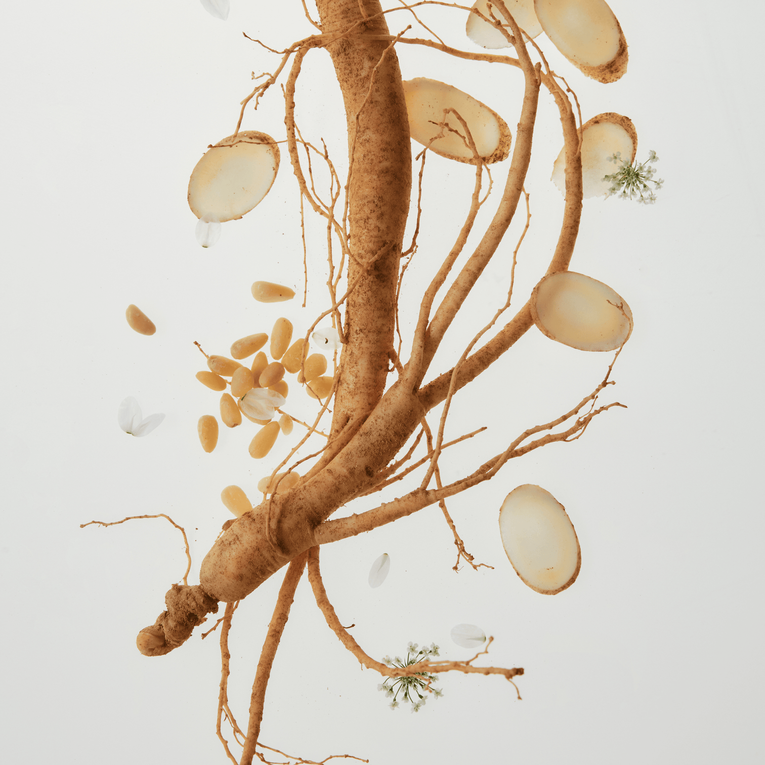 Benefícios do Beauty of Joseon Ginseng Moist Sun Serum