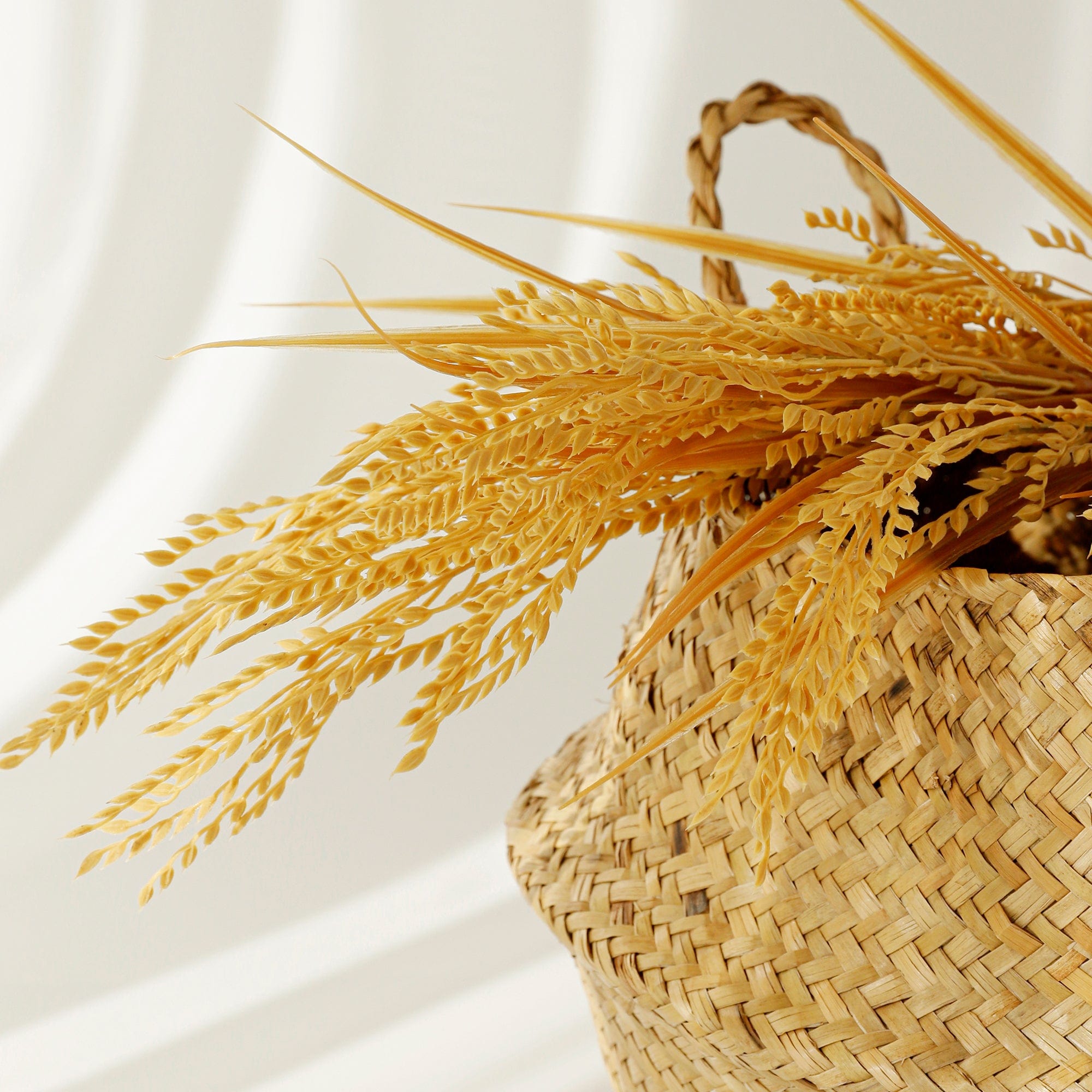 Grain Fermented Extracts